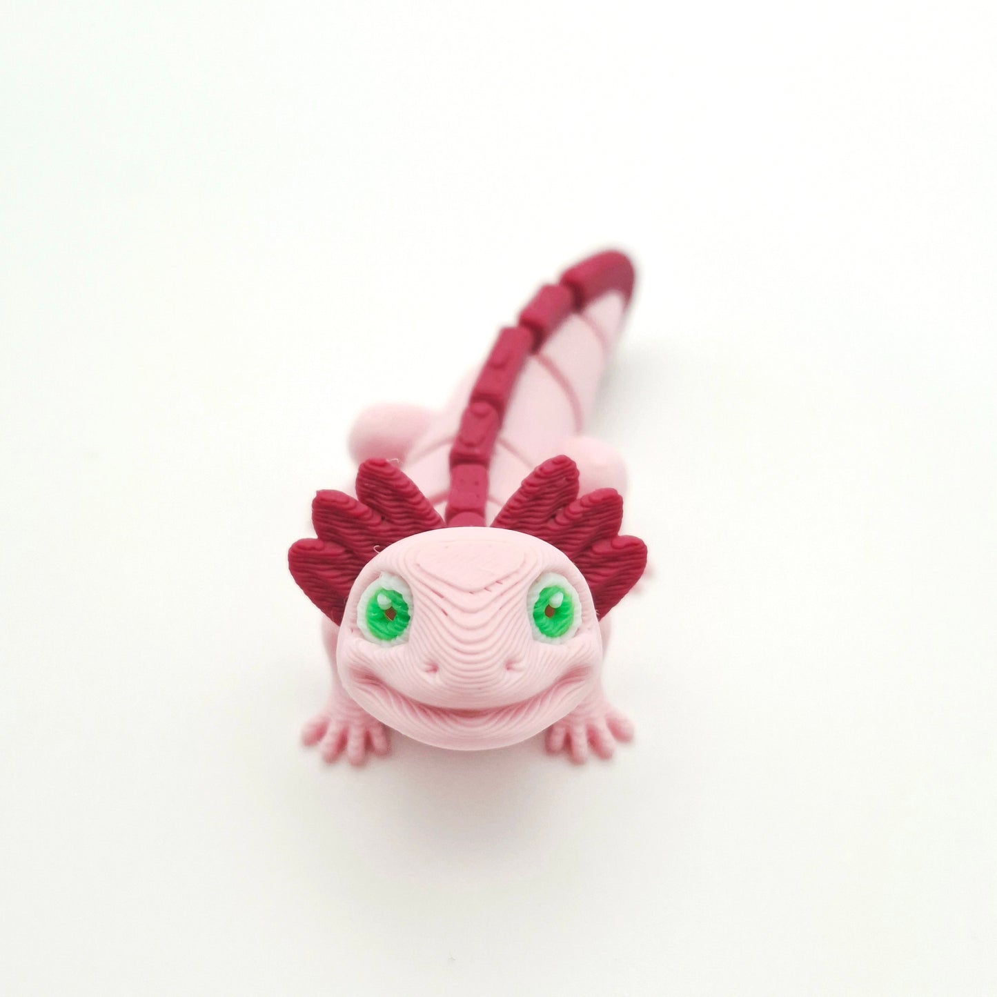 Axolotl