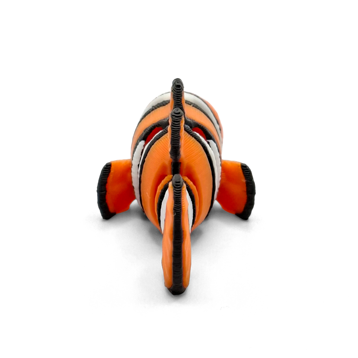 Clownfisch